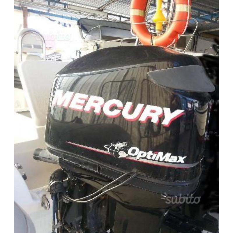 Motore Mercury Optimax 90 DFI